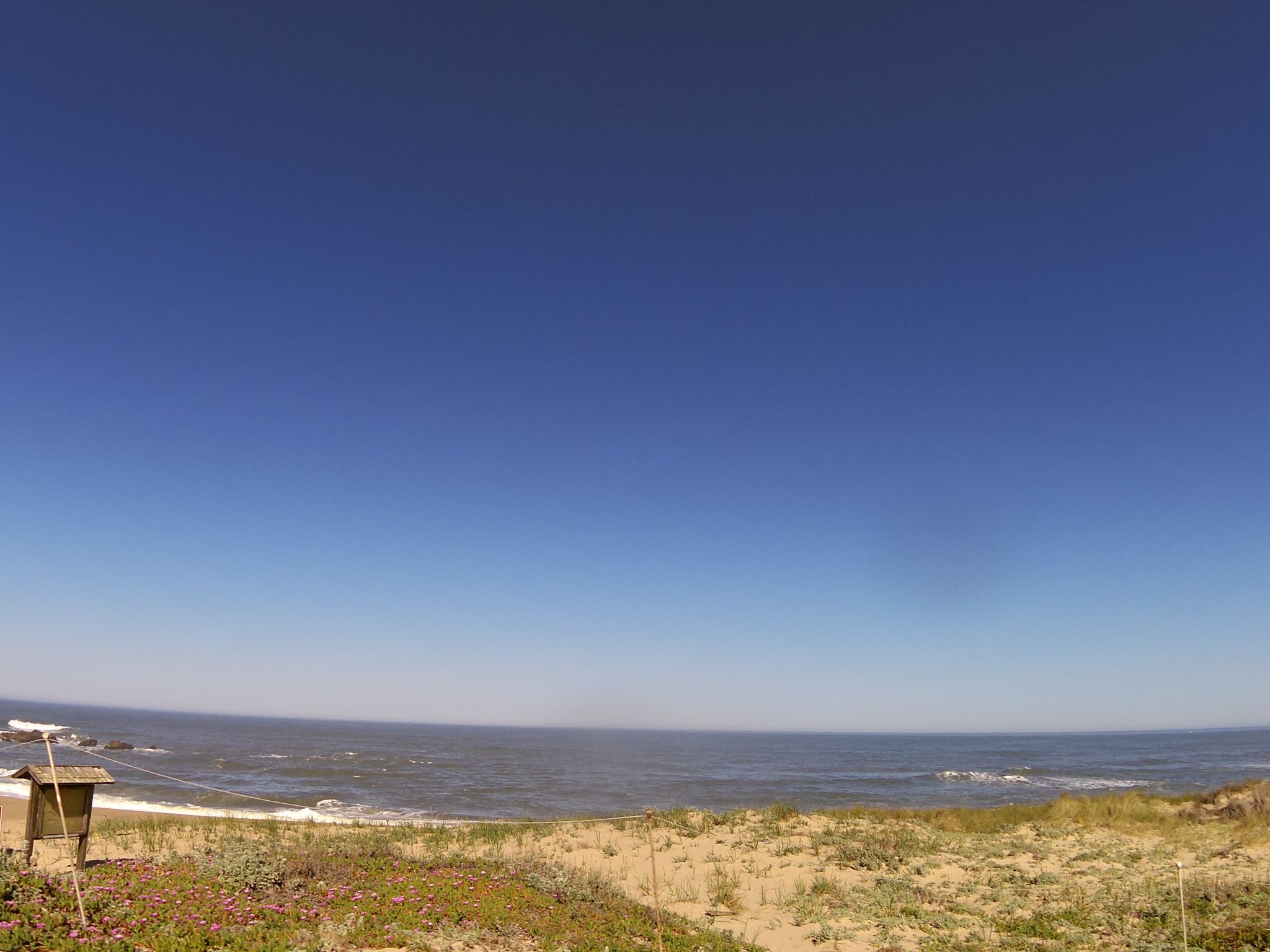 Pescadero Beach