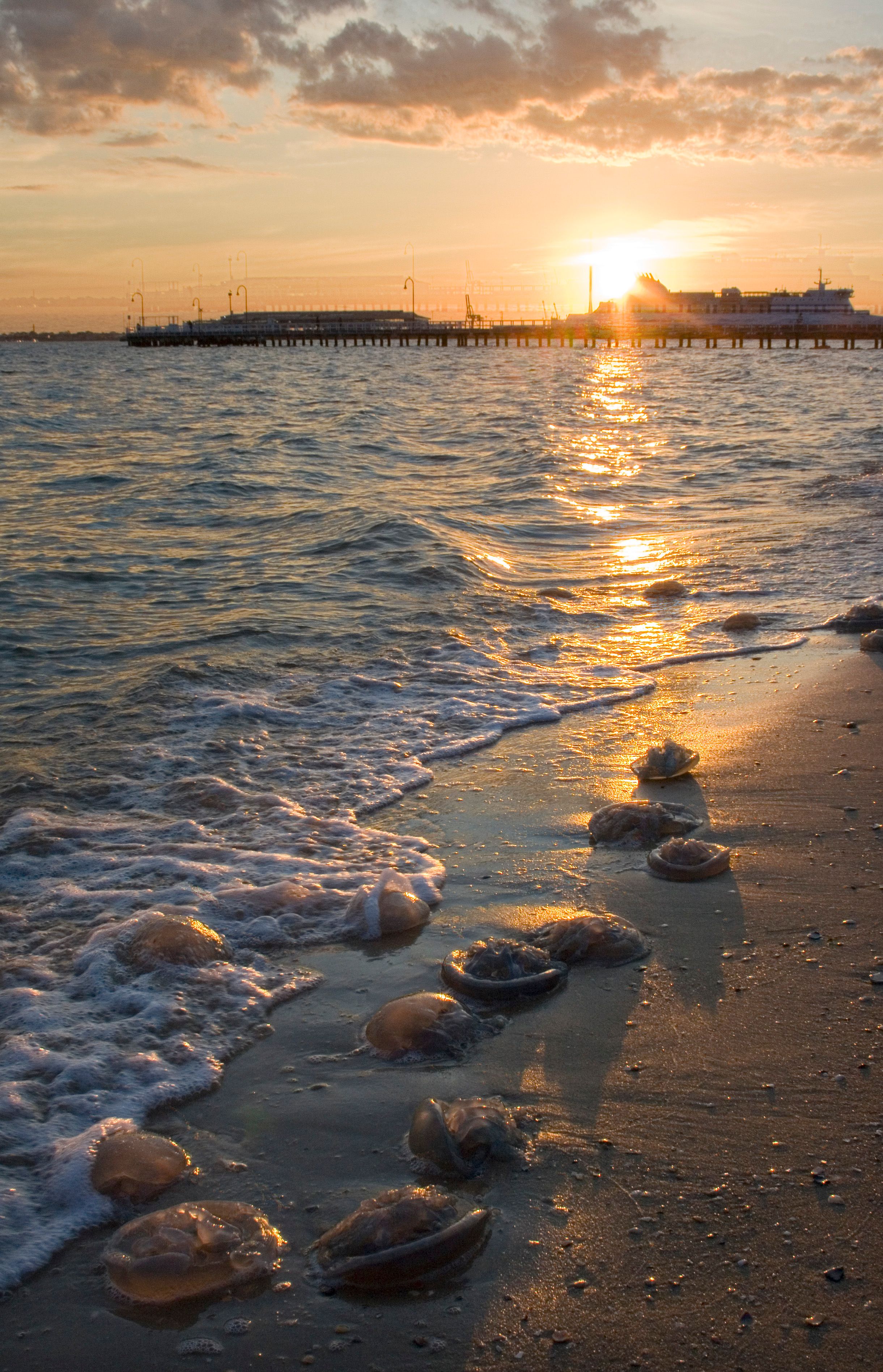 Port Melbourne Beach