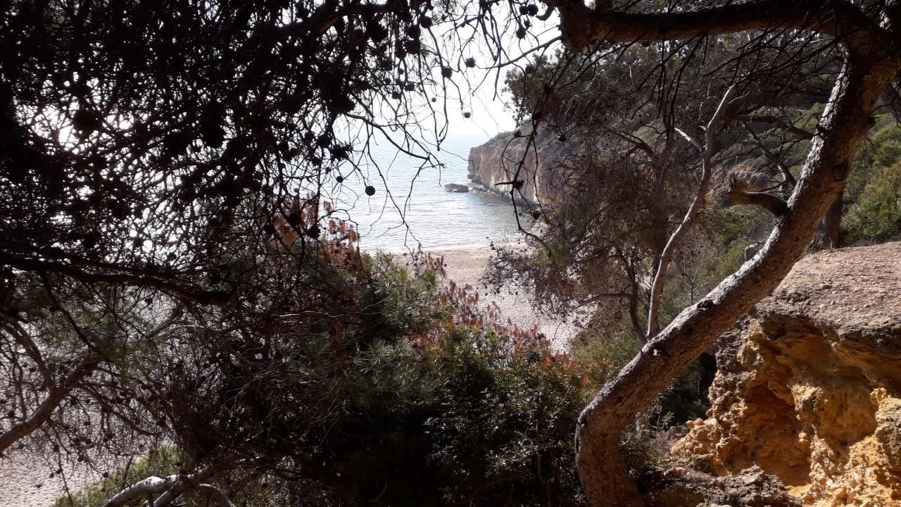 Platja de l'Arboçar