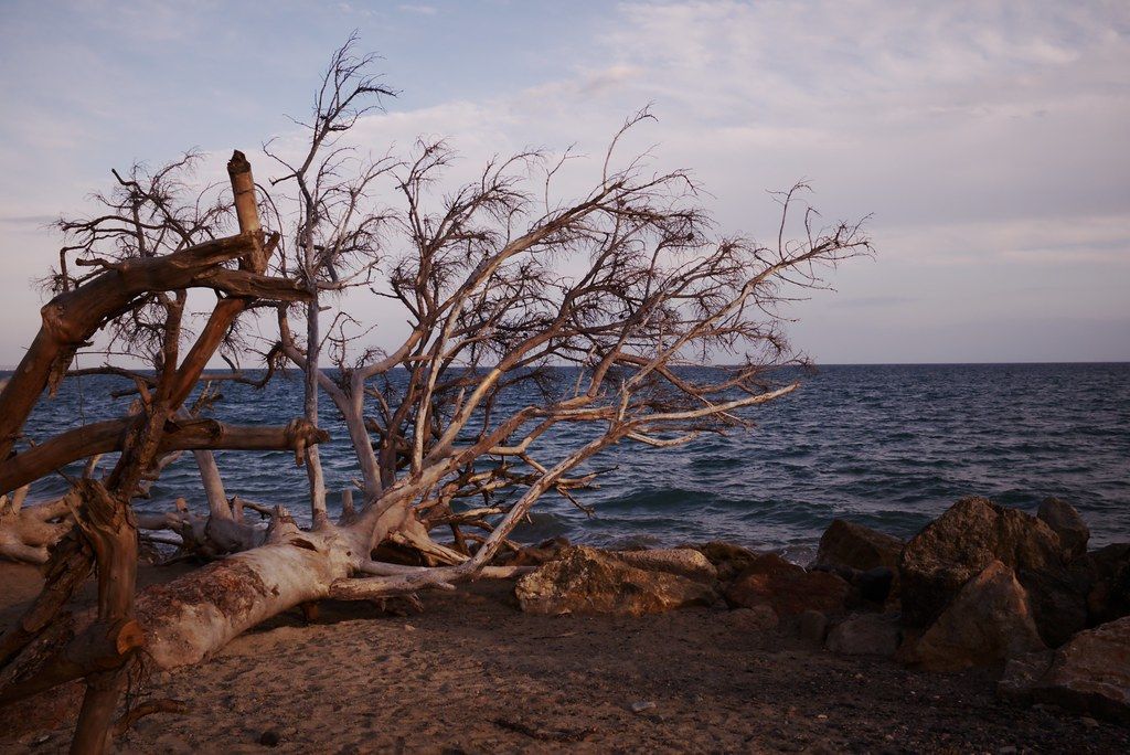 Platja de la Pixerota