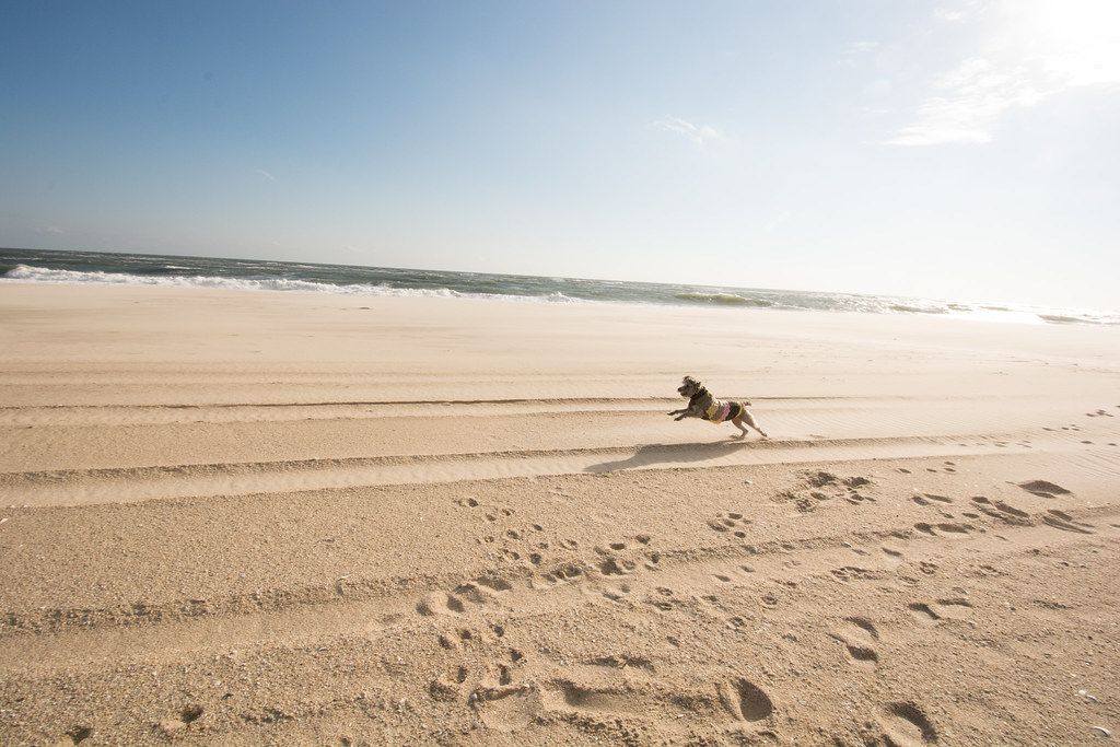 Plage US-NE
