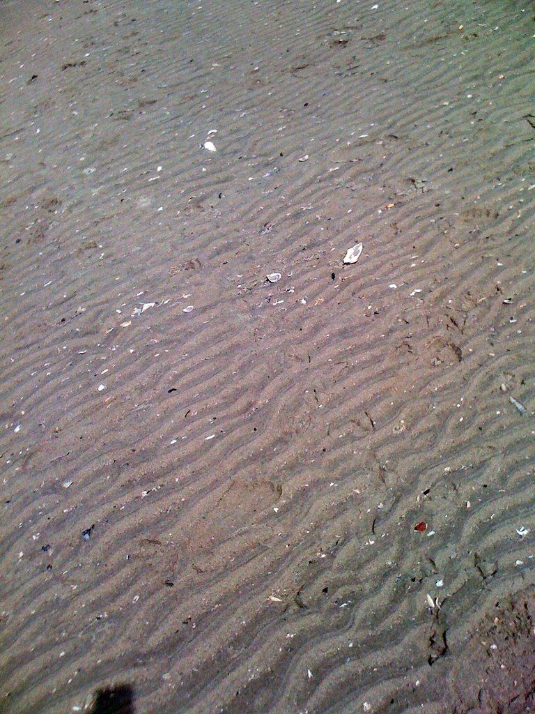 Plage US-NE