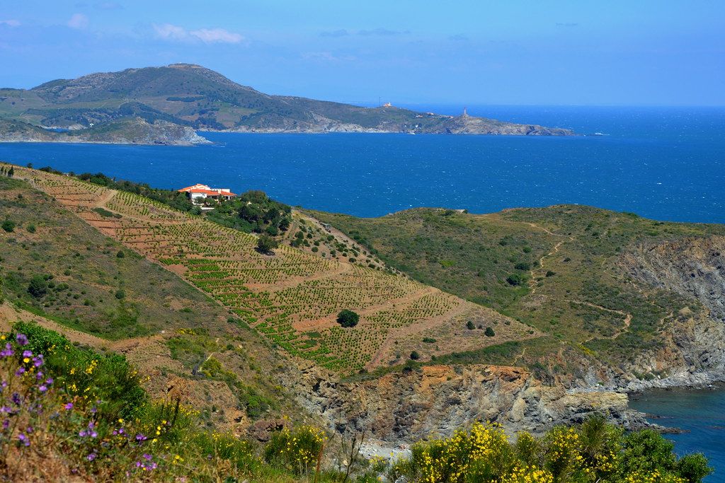 Es Banyul