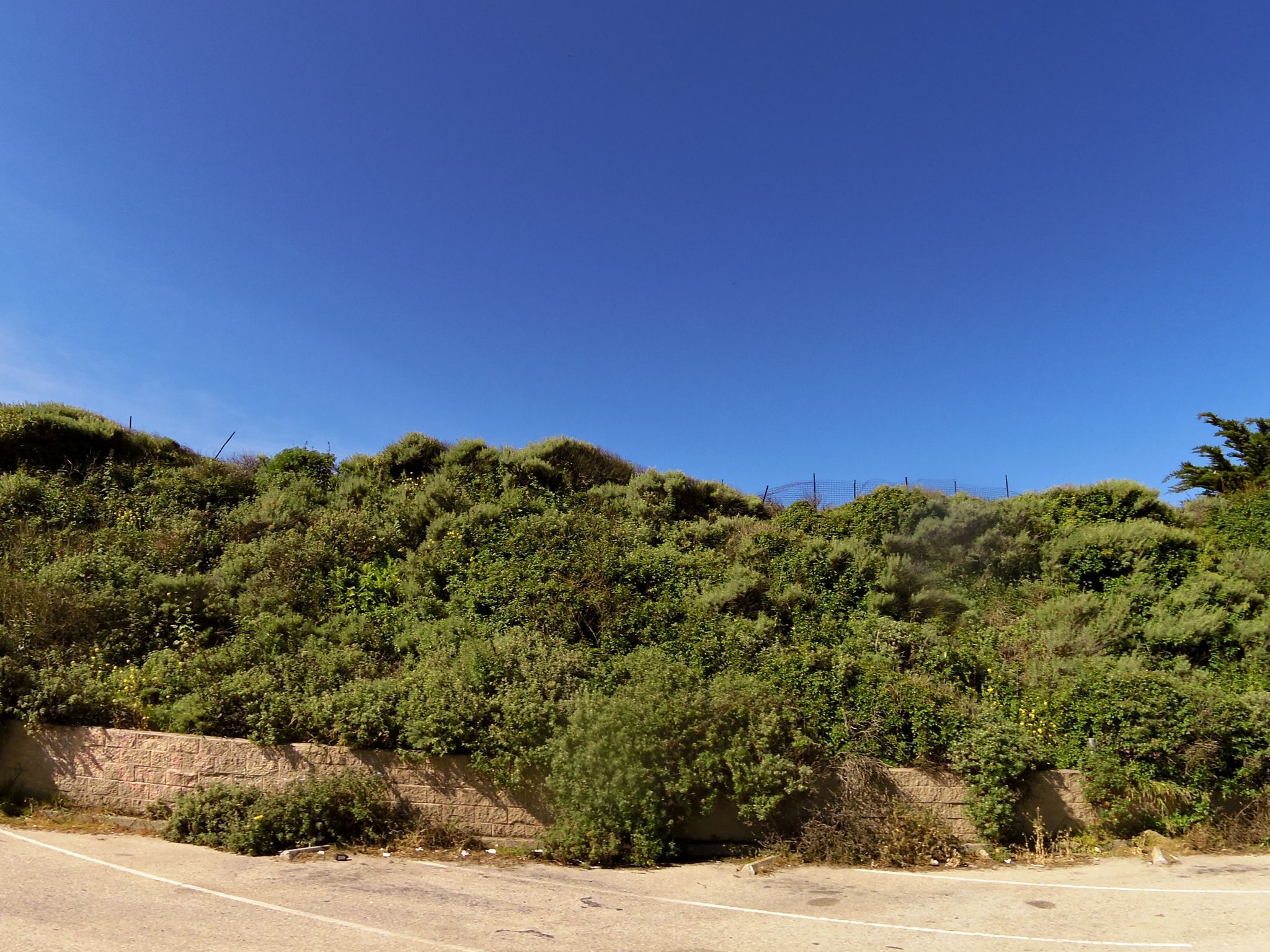 Bonny Doon Beach