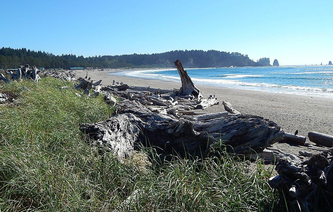 First Beach