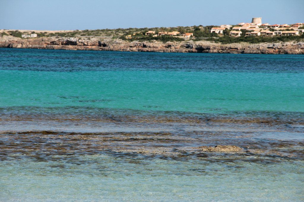 Platja de ses Canyes