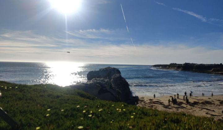 Natural Bridges State Beach