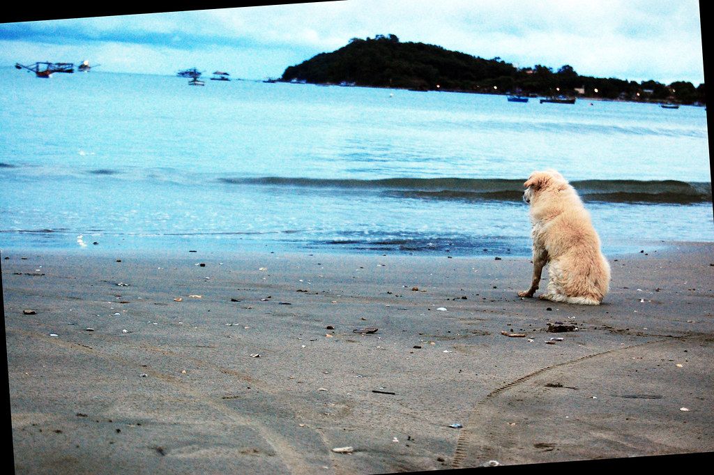 Praia do Quilombo