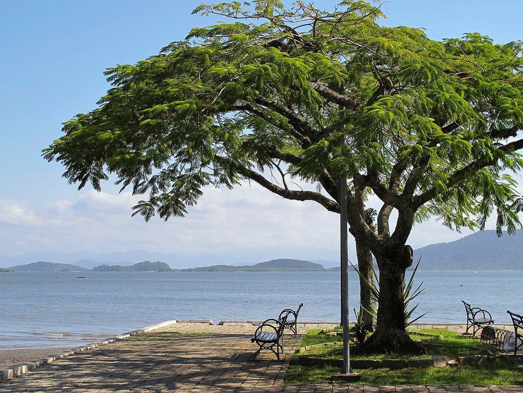Praia Avenida