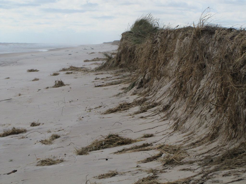 Amagansett Beach