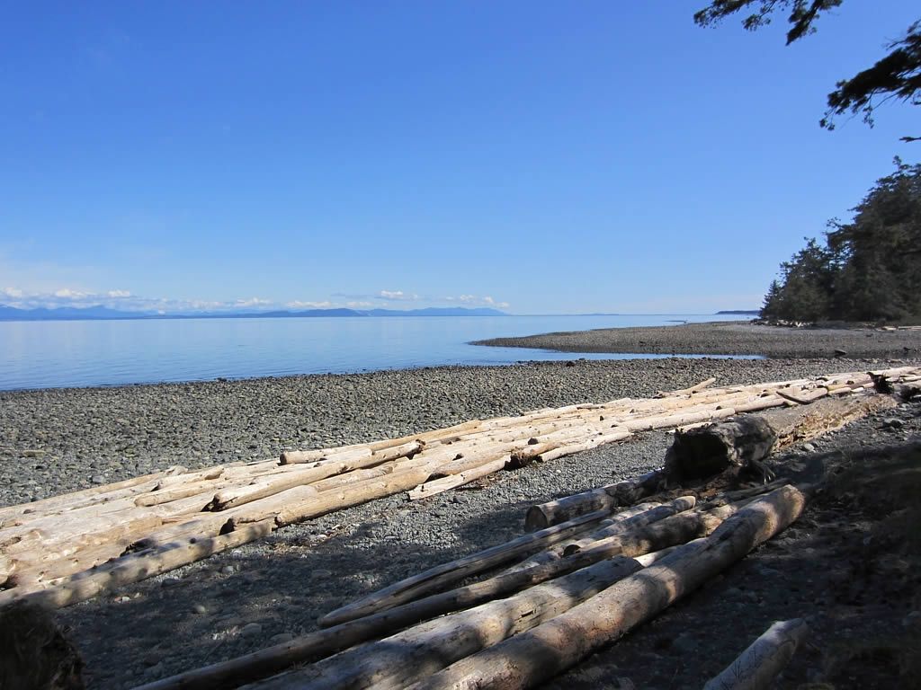 Coleman Beach