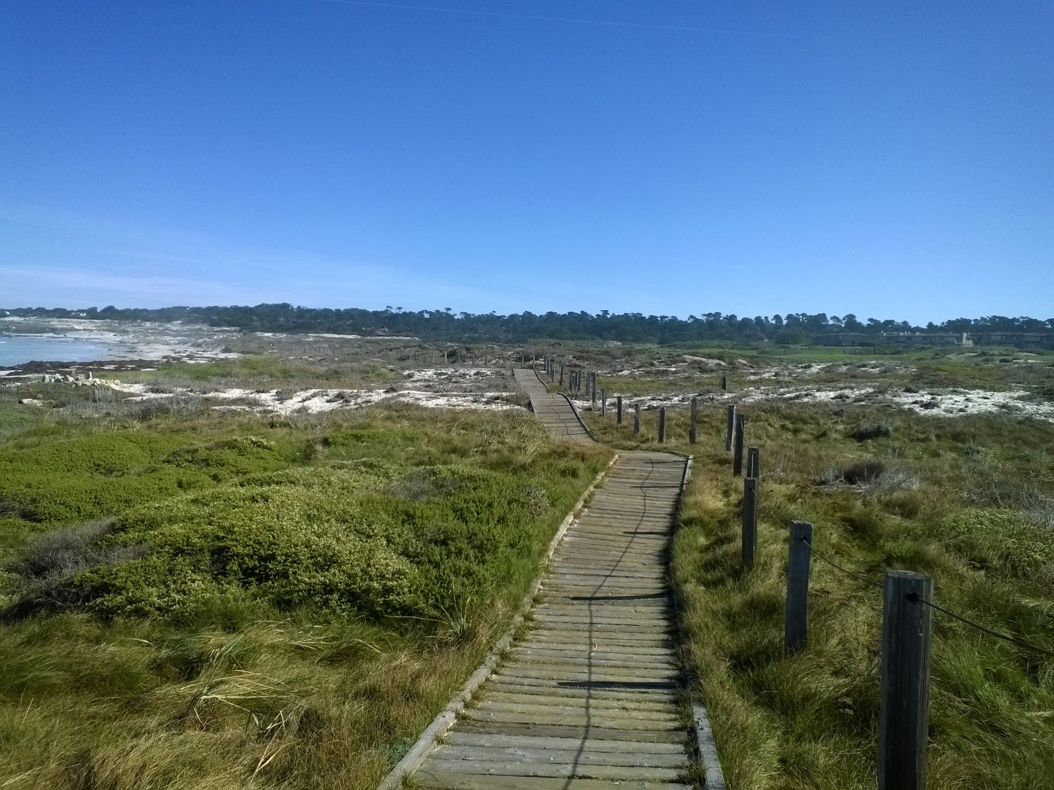 North Moss Beach