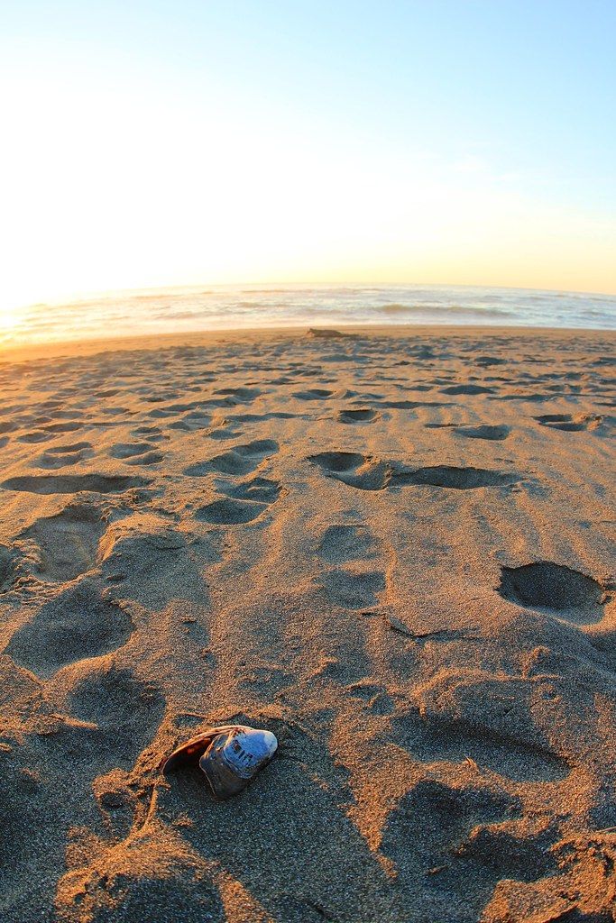 Bluffs Beaches