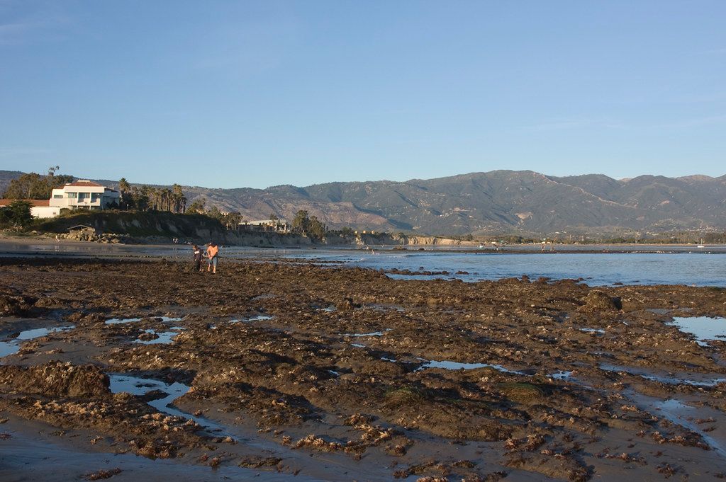 Campus Beach