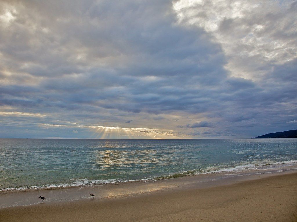 Westward Beach