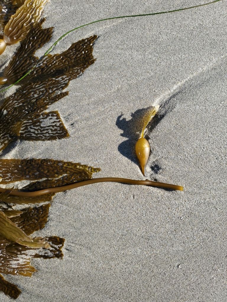 Victoria Beach