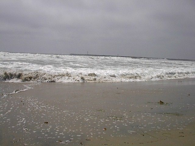 Dog Beach
