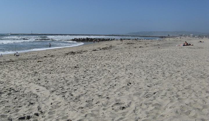 Ocean Beach