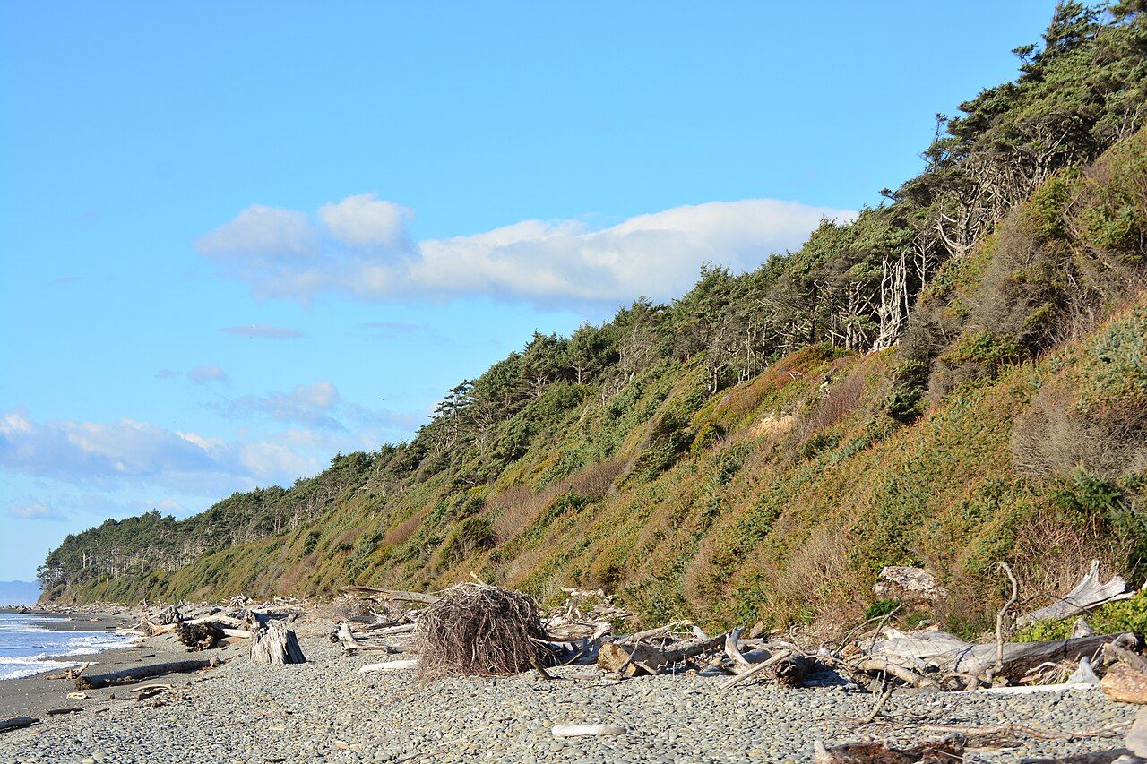 Kalaloch Beach