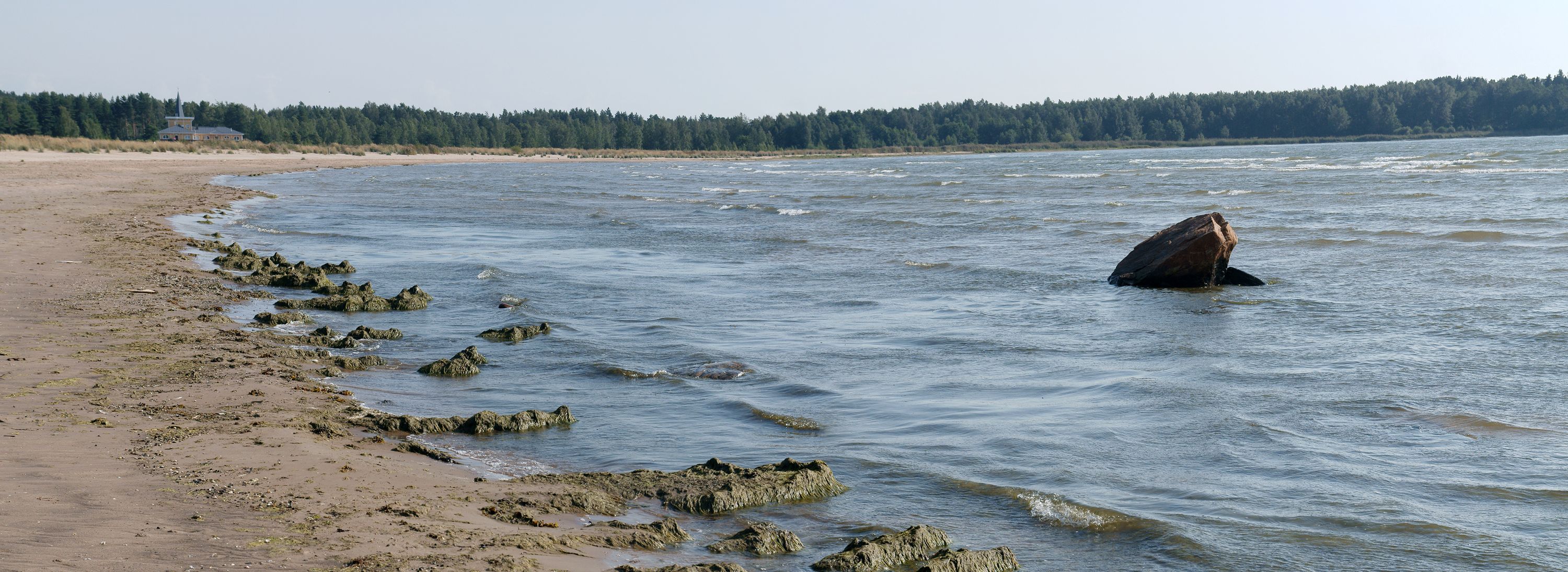 Koiraranta