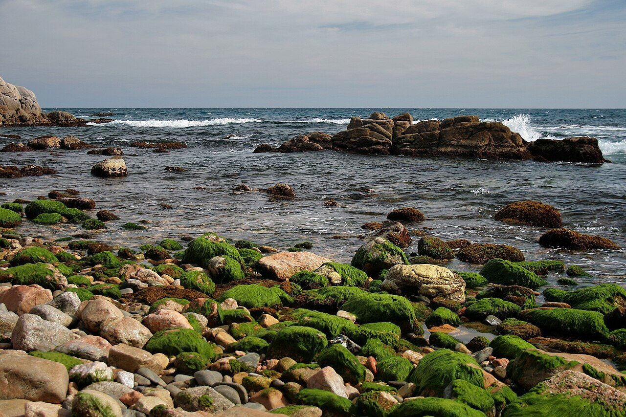 Cala del Crit