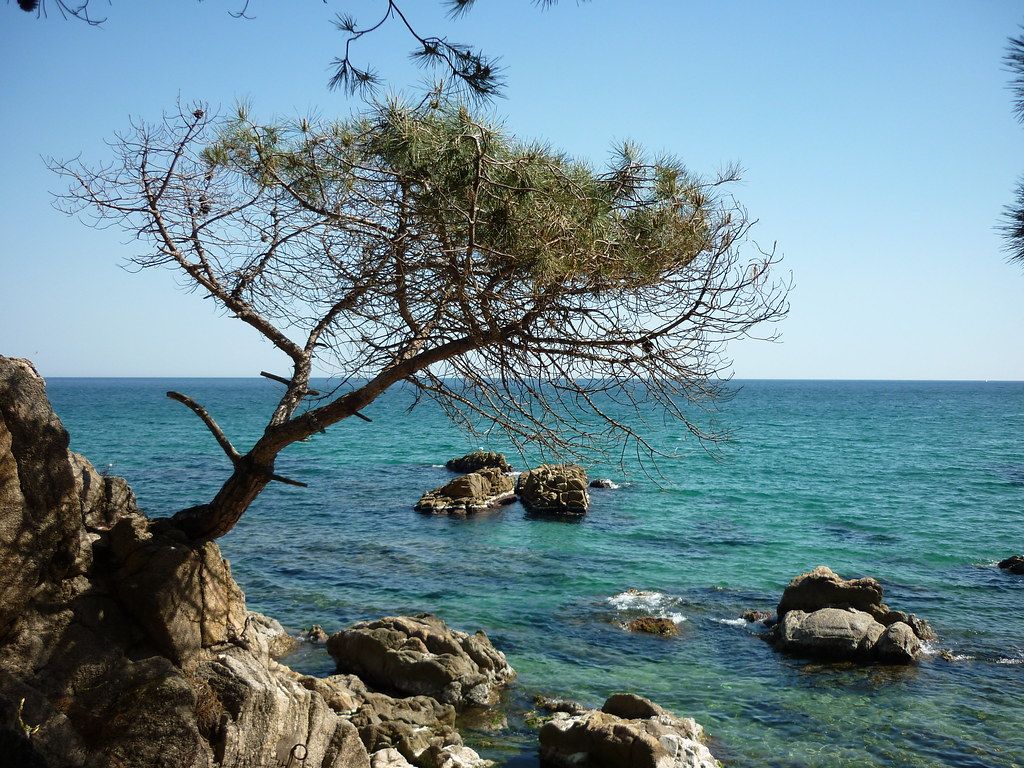 Plage ES-E