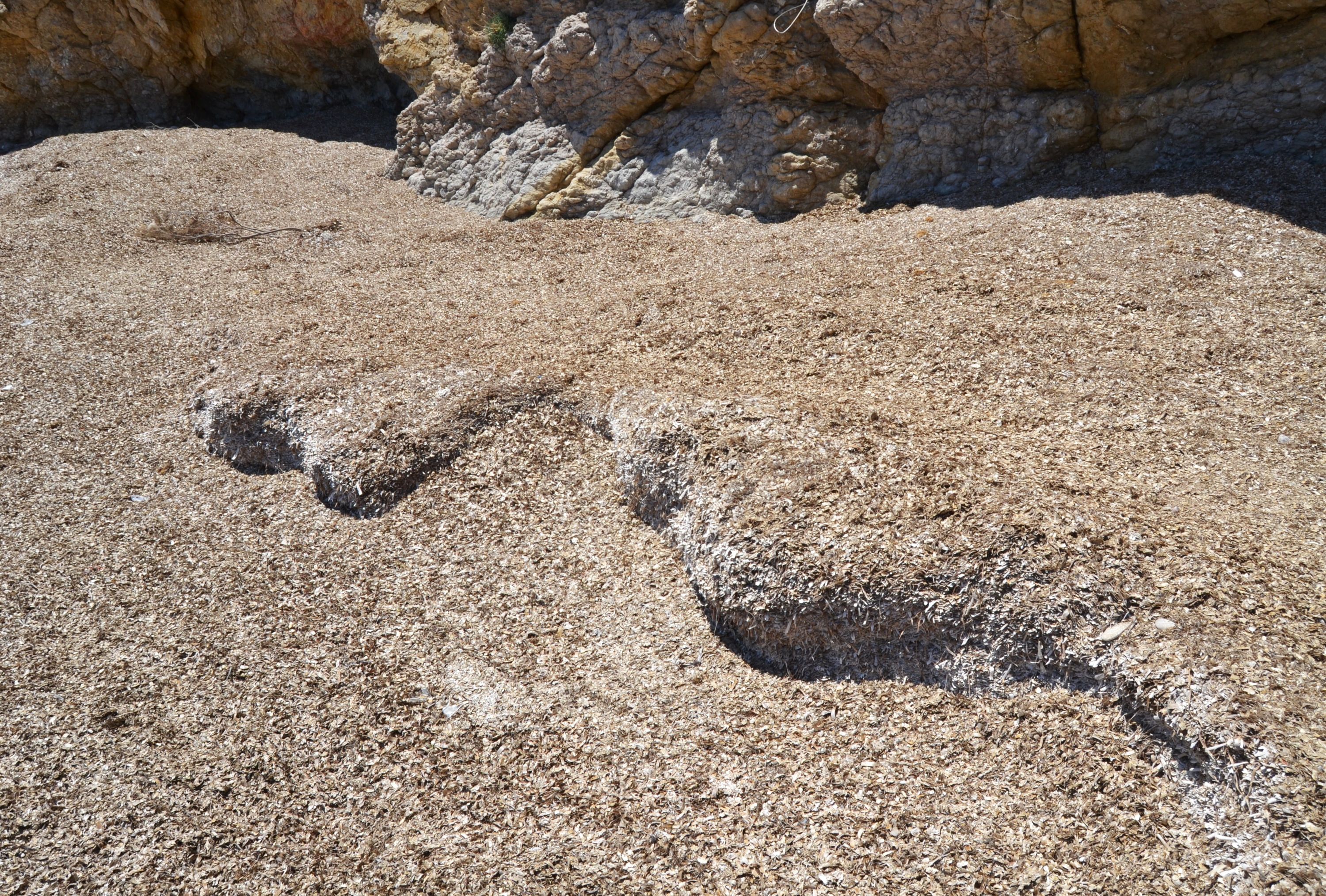 Cala Seca