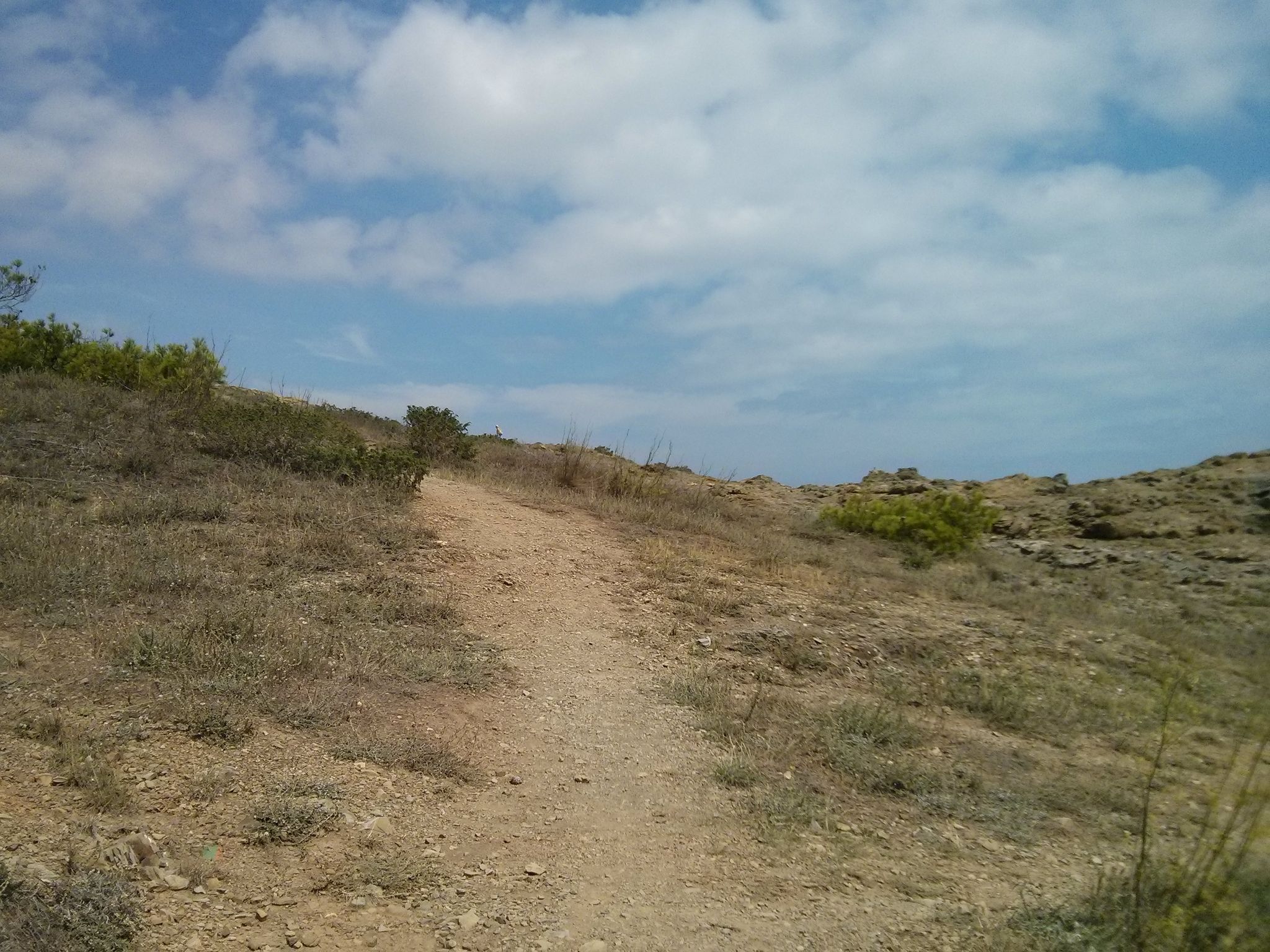 el Borró d'Enfora