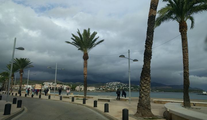 Platja del Port