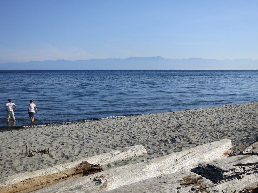 Witty's Beach
