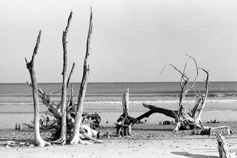DeBordieu Beach