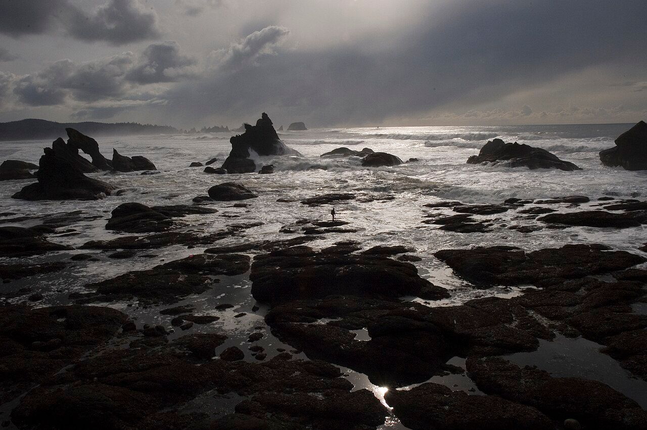 Shi Shi Beach