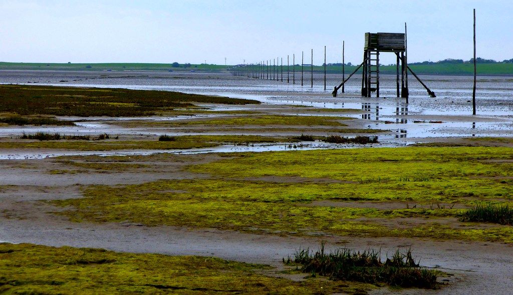 Holy Island Sands