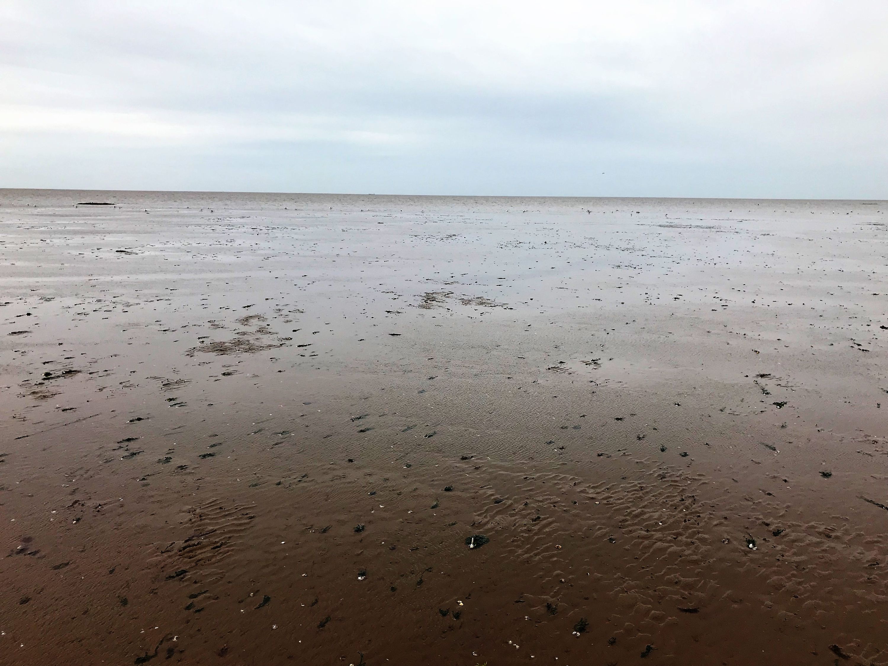 Stubborn Sand