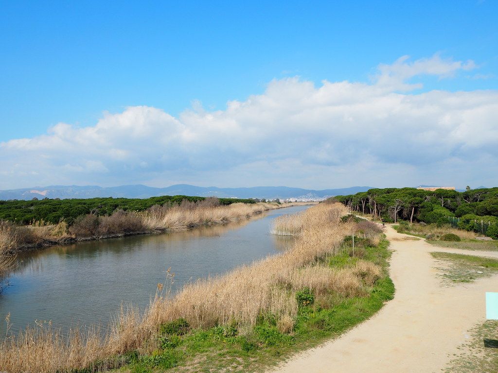 Platja de Cal Francès