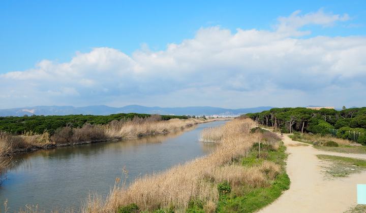 Platja de Cal Francès