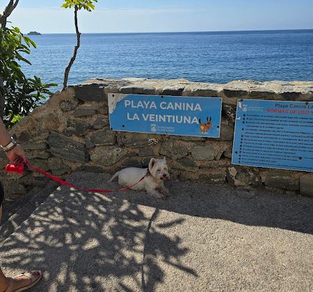 La Veintiuna