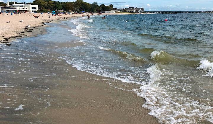 Ocean Beach