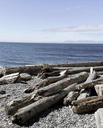 Hard-to-come-by Cove