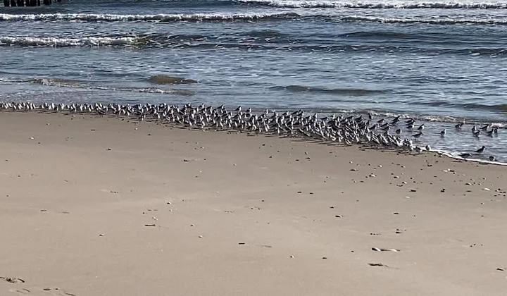 Jacob Riis Park Beach 10