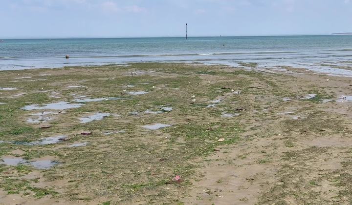 Plage de la Boirie