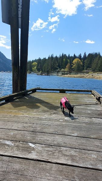 Thwaytes Landing