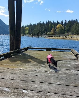 Thwaytes Landing