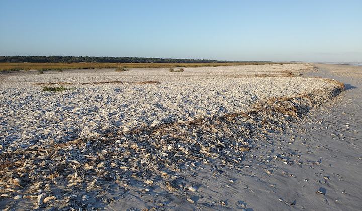 Edingsville Beach
