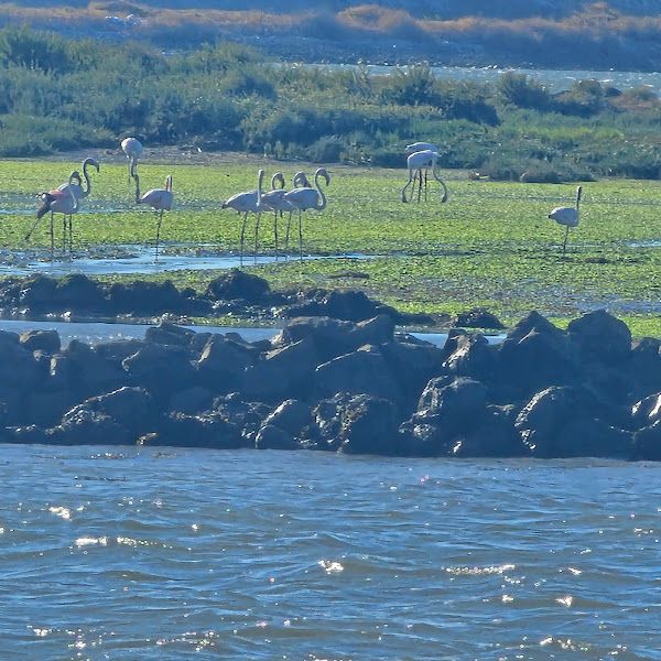 Praia da Gorda