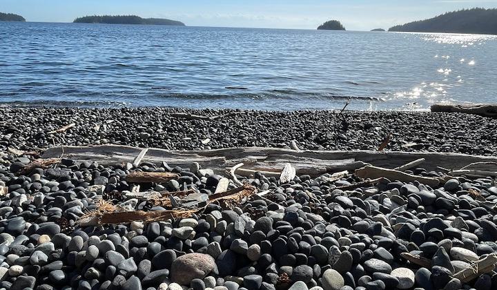 East Beach