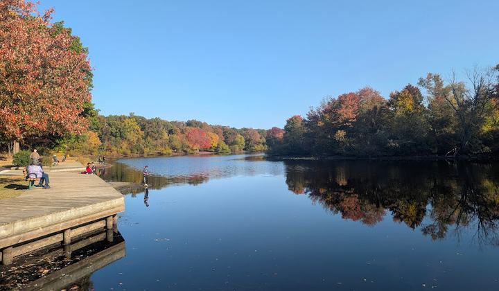 Turkey Swamp Park