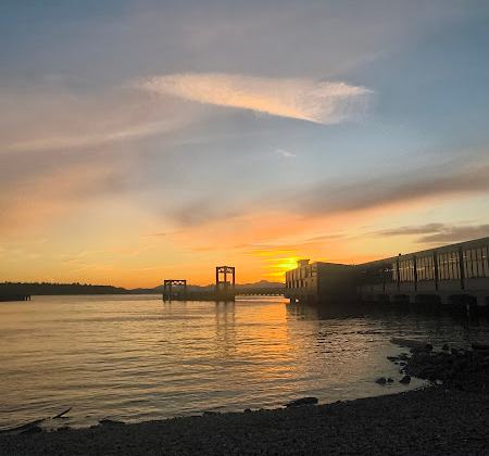 Pioneer Square Habitat Beach