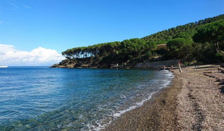 Calanova