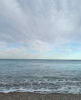 Cala del Pinar